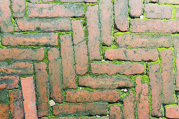 포토 JPG 해외이미지 식물 외관 벽 백그라운드 패턴 건축양식 자연 벽지 표면 날씨 벽돌 주택 이끼 사람없음 건물 빨간색 초록색 블록 젖음 바위 시골 거친 파편 타일 질감 오르기 시멘트 아이비 내추럴 고체 곰팡이 그런지 양치류 옛날 콘크리트 해외202004 해외포토 건축물 건축 컬러 무늬 모션 돌_바위 생태계 파일형식 이미지허브