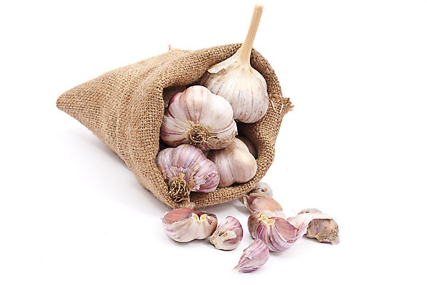 포토 JPG 해외이미지 음식 백그라운드 잎 채소 가방 재료 부분 자연 건강 마늘 요리 사람없음 약 주방 보라색 흰색 직물 신선 양념 닫기 먹기 허브 삼베 순수 향신료 싱글 상쾌 유기농 질감 날것 향기 날카로움 뿌리 튜브 고립 생식 해외202004 해외포토 식물 웰빙 잡화 감정 컬러 컨셉 의학 모션 생태계 냄새 향미료 파일형식 천_직물 이미지허브