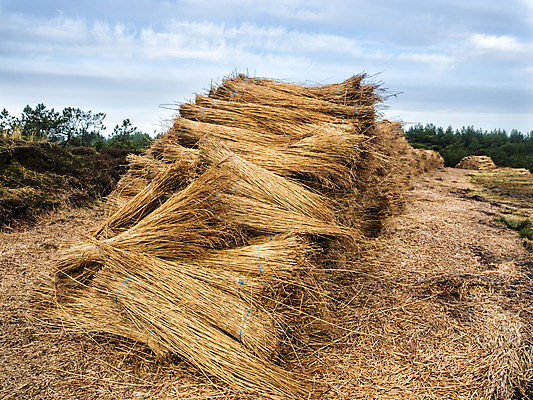 포토 JPG 해외이미지 전통 건축양식 지붕 주택 갈대 사람없음 노란색 수확 시골 도시 오두막 보따리 밀짚 내추럴 볏집 커터 해외202004 해외포토 식물 건축 컬러 농업 건물 짚 파일형식 이미지허브