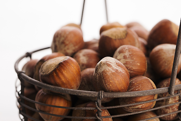 포토 JPG 해외이미지 실내 사람없음 아웃포커스 바구니 견과류 흰배경 담기 헤이즐넛 해외202004 해외포토 백그라운드 모션 촬영기법 내부 흰색 파일형식 이미지허브