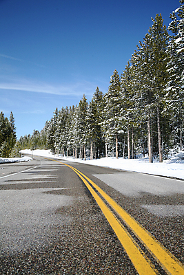 포토 JPG 해외이미지 나무 공원 길 선 여행 겨울 교통시설 자연 하늘 휴가 거리 풍경 사람없음 야외 파란색 미국 운전 시골 고속도로 황무지 숲 아스팔트 와이오밍 전국 해외202004 해외포토 식물 계절 공공시설 도로 컬러 교통 북아메리카 모션 시설 생태계 파일형식 이미지허브