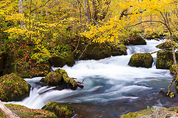 포토 JPG 해외이미지 나무 식물 계절 공원 아시아 호수 여행 단풍 잎 오렌지 자연 산 동양인 풍경 사람없음 야외 물 강 컬러풀 노란색 일본 활발 폭포 흐름 가을 시골 개울 숲 신비 내추럴 떠남 전국 해외202004 해외포토 자연요소 공공시설 나라 컬러 컨셉 과일 모션 인종 생태계 파일형식 이미지허브