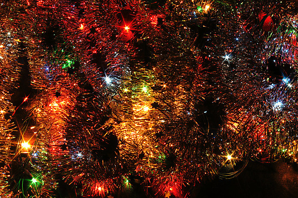 포토 JPG 해외이미지 나무 디자인 계절 줄기 백그라운드 크리스마스 겨울 패턴 일러스트 공 자연 추상 휴가 기념 미술 사람없음 야외 장식 빨간색 빛 갈색 파티 검은색 축하 소나무 신용카드 해외202004 해외포토 식물 기념일 컬러 컨셉 무늬 문화예술 이벤트 금융 생태계 파일형식 이미지허브