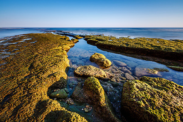 포토 JPG 해외이미지 유럽 모래 파도 바다 분홍색 여행 자연 조류 하늘 휴가 풍경 사람없음 초록색 물 여름 파란색 황혼 일몰 조약돌 바위 황금 저녁 포르투갈 부식 휴양지 질감 웅덩이 지역 대서양 해외202004 해외포토 자연요소 동물 계절 나라 컬러 노을 장소 돌_바위 야간 생태계 파일형식 이미지허브