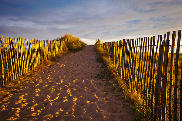 포토 JPG 해외이미지 유럽 길 모래 바다 여행 자연 하늘 풍경 사람없음 목재 초록색 물 여름 파란색 울타리 일몰 프랑스 오솔길 모래언덕 대서양 해외202004 해외포토 자연요소 나무 계절 나라 컬러 재료 담장 노을 언덕 생태계 파일형식 이미지허브
