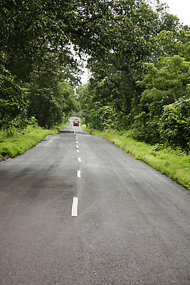 포토 JPG 해외이미지 도로 교통시설 거리 버스 사람없음 시골 고속도로 숲 해외202004 해외포토 길 육상교통 교통 대중교통 시설 파일형식 이미지허브