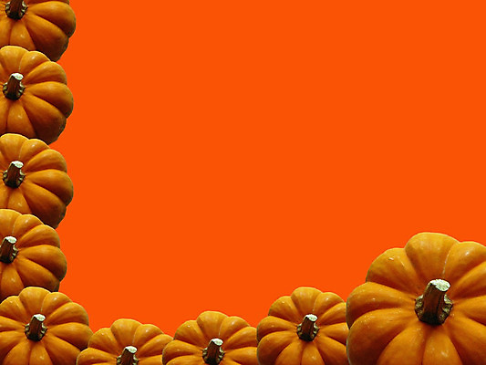 포토 JPG 해외이미지 계절 잎 채소 호박 휴가 프레임 사람없음 장식 컬러풀 축제 할로윈 수확 가을 추수감사절 스쿼시 해외202004 해외포토 식물 기독교 스포츠 컬러 농업 구기 파일형식 이미지허브