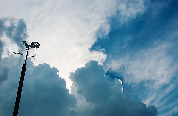 포토 JPG 해외이미지 조류 하늘 지붕 바람 날씨 화살 주택 경고 사람없음 야외 장식 파란색 정원 황혼 수확 가리킴 저녁 지시 방향 북쪽 동쪽 남쪽 수탉 외양간 놋쇠 서쪽 해외202004 해외포토 자연요소 동물 컬러 농업 모션 손짓 건물 일몰 닭 야간 수컷 파일형식 이미지허브