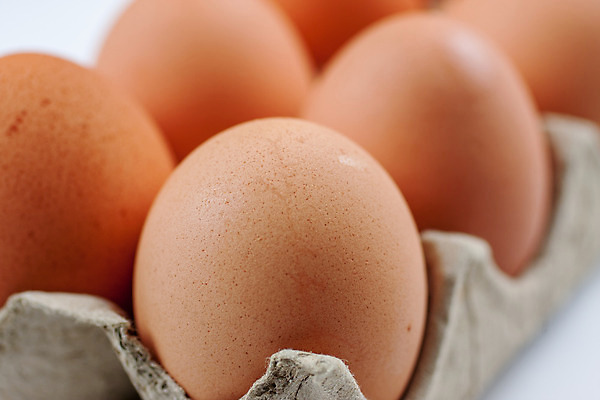 포토 JPG 해외이미지 동물 음식 재료 사람없음 농장 갈색 계란 치킨 가축 껍질 유기농 해외202004 해외포토 웰빙 컬러 농업 알 닭고기요리 파일형식 이미지허브