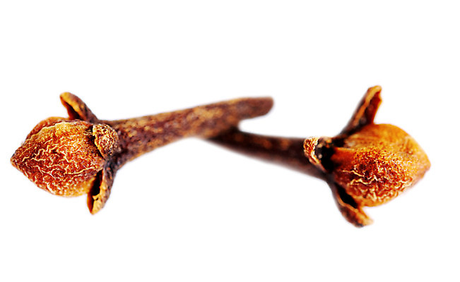 포토 JPG 해외이미지 나무 꽃 음식 2 재료 건조 3 요리 씨앗 사람없음 치료 가로 약 갈색 침묵 흰색 양념 그룹 우아함 닫기 선택 맛 큼 자르기 허브 향신료 오브젝트 날것 향기 아로마 고립 해외202004 해외포토 식물 컬러 컨셉 의학 모션 소리 크기 냄새 향미료 파일형식 이미지허브