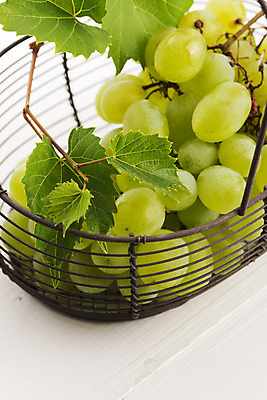 포토 JPG 해외이미지 라이프스타일 계절 열매 음식 컨셉 잎 과일 자연 탁자 포도 휴가 건강 사람없음 야외 목재 초록색 여름 태양 소풍 바구니 와인 정원 봄 수확 가을 흰색 먹기 가득함 오브젝트 포도밭 포도나무 양조장 해외202004 해외포토 자연요소 나무 식물 컬러 가구 밭 농업 재료 모션 주류 생활 야외활동 과일나무 생태계 파일형식 이미지허브