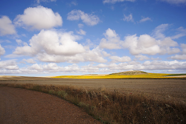포토 JPG 해외이미지 구름 유럽 도로 백그라운드 밭 농업 자연 하늘 날씨 파노라마 옥수수 풍경 사람없음 야외 여름 컬러풀 태양 농장 농경지 평화 침묵 흙 수확 성장 시골 스페인 볏짚 밀 만취 장면 철사 방법 밭일 스페인어 해외202004 해외포토 자연요소 계절 나라 산업 길 컬러 컨셉 교통시설 곡류 촬영기법 소리 짚 생태계 술취함 파일형식 이미지허브