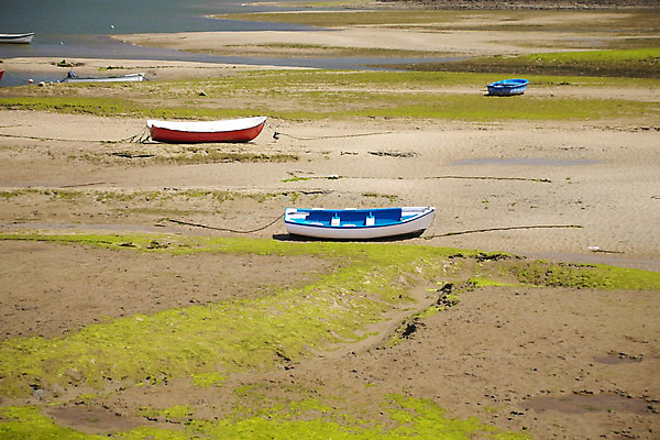 포토 JPG 해외이미지 식물 유럽 지구 호수 밧줄 모래 자연 조류 넥타이 항해 풍경 사람없음 야외 가로 빨간색 초록색 물 파란색 강 시골 저수지 연못 액체 보트 해조류 스페인 작음 땅 웅덩이 가뭄 부표 석호 땅바닥 해외202004 해외포토 자연요소 동물 잡화 나라 줄 컬러 배_교통 날씨 바닥 해양식물 크기 생태계 파일형식 이미지허브
