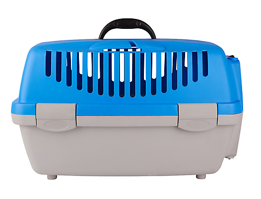 포토 JPG 해외이미지 동물 여행 백그라운드 새로움 사람없음 파란색 반려동물 상자 고양이 산책 흰색 개 휴대용 나무상자 컨테이너 플라스틱 마차 새장 송곳니 나쁜 고립 해외202004 해외포토 산업 교통수단 컬러 컨셉 포유류 재질 휴식 치아 오브젝트 케이지 파일형식 이미지허브