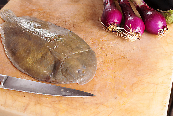 포토 JPG 해외이미지 직업 산업 음식 재료 어류 요리 사람없음 가로 주방 식당 칼 해산물 준비 날것 유일 해외202004 해외포토 상점 수중동물 파일형식 이미지허브