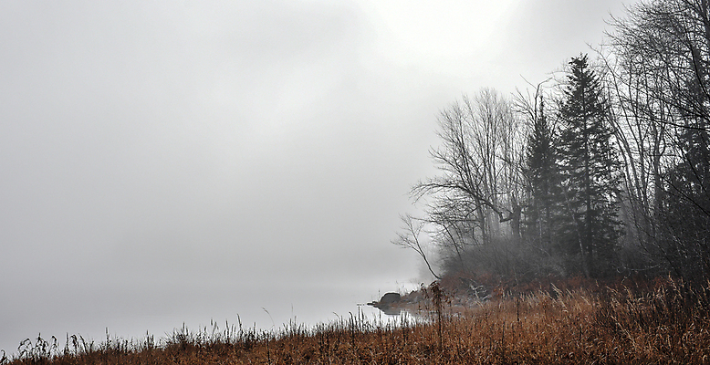 포토 JPG 해외이미지 나무 계절 자연 아침 사람없음 야외 물 햇빛 태양 어둠 회색 젖음 촉촉함 추위 안개 가을 바위 신선 가장자리 숲 시원함 11월 속도 암초 내추럴 뿌연 해외202004 해외포토 주간 자연요소 식물 컬러 날씨 돌_바위 날짜 둘레 생태계 파일형식 이미지허브