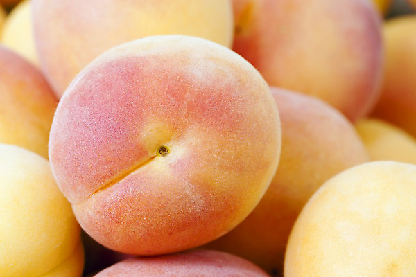 포토 JPG 해외이미지 식물 계절 음식 백그라운드 잎 농업 곡선 다이어트 오렌지 재료 자연 프레임 건강 사람 사람없음 노란색 신선 그룹 달콤 매끈함 큼 먹기 오브젝트 상쾌 유기농 날것 복숭아 부드러움 흙더미 내추럴 살구 숙성 채식주의자 해외202004 해외포토 웰빙 감정 산업 선 컬러 과일 모션 흙 감각 맛 크기 생태계 채식 파일형식 더미 이미지허브