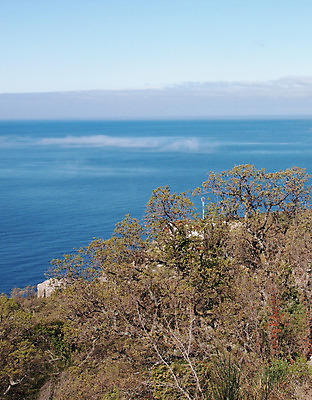 포토 JPG 해외이미지 나무 식물 구름 계절 물결 파도 자연 하늘 표면 산 풍경 사람없음 초록색 여름 파란색 바위 시골 그림 상록수 침엽수 우크라이나 향나무 해외202004 해외포토 자연요소 유럽 바다 컬러 돌_바위 생태계 파일형식 이미지허브