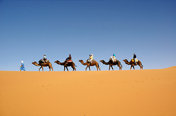 포토 JPG 해외이미지 모래 여행 아프리카 자연 사람없음 야외 여행객 사막 모래언덕 낙타 모로코 사하라 단봉낙타 해외202004 해외포토 나라 포유류 사람 언덕 생태계 파일형식 이미지허브