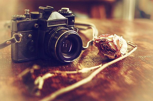 포토 JPG 해외이미지 디자인 조각 백그라운드 추상 실험 사람없음 목재 사무실 유행 카메라 검은색 어둠 장비 추위 수확 골동품 카세트테이프 클래식 향수 그림 질감 복고 롤 과거 슛 아날로그 장인 얼레 그런지 부정적 옛날 스타일 해외202004 해외포토 나무 감정 컬러 컨셉 무늬 농업 비즈니스 재료 전자제품 화장품 파일형식 이미지허브