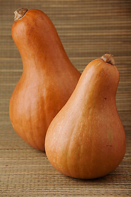 포토 JPG 해외이미지 계절 음식 줄기 백그라운드 2 채소 오렌지 과일 자연 호박 표면 콩 사람없음 장식 농작물 갈색 줄무늬 할로윈 수확 가을 시골 바퀴 그룹 날것 박 밀짚 짜임 숙성 엮은 해외202004 해외포토 식물 컬러 무늬 농업 곡류 짚 생태계 파일형식 이미지허브