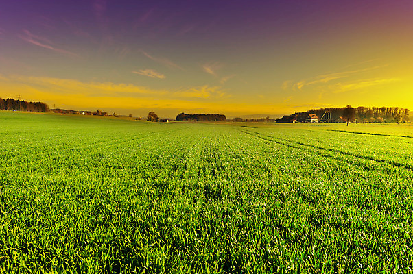 포토 JPG 해외이미지 식물 구름 꽃 유럽 여행 밭 농업 자연 하늘 아침 산 주택 풍경 사람없음 초록색 여름 햇빛 태양 농가 농장 마을 일출 계곡 황혼 일몰 봄 목장 안개 성장 바위 시골 정상 저녁 숲 스위스 언덕 알프스 타운 샬레 해외202004 해외포토 주간 자연요소 계절 나라 산업 컬러 날씨 실험기구 건물 노을 돌_바위 도시 야간 생태계 파일형식 이미지허브