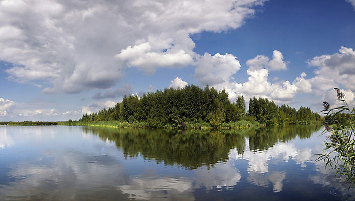 포토 JPG 해외이미지 나무 구름 호수 자연 파노라마 풍경 사람없음 물 반사 항구 시골 습지 네덜란드 수평선 해외202004 해외포토 자연요소 식물 유럽 교통시설 촬영기법 생태계 파일형식 이미지허브