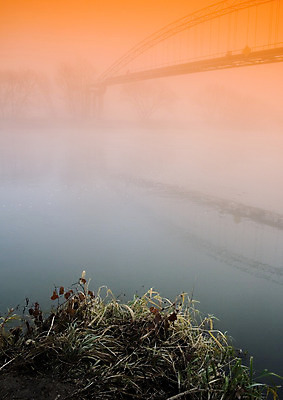 포토 JPG 해외이미지 나무 식물 구름 계절 전통문화 잎 밭 농업 오렌지 자연 하늘 옥수수 풍경 사람없음 야외 빨간색 초록색 빛 햇빛 태양 농장 갈색 노란색 일출 보라색 추위 안개 가을 농촌 심플 평야 해외202004 해외포토 자연요소 전통 산업 문화 컬러 과일 날씨 곡류 노을 시골 생태계 파일형식 이미지허브
