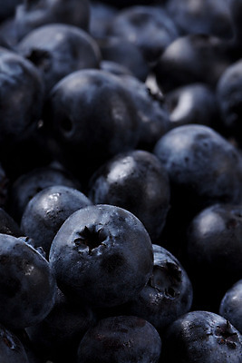 포토 JPG 해외이미지 열매 음식 과일 재료 자연 디저트 건강 사람없음 파란색 신선 그룹 달콤 먹기 오브젝트 유기농 블루베리 흙더미 숙성 해외202004 해외포토 식물 웰빙 컬러 모션 흙 맛 생태계 파일형식 더미 이미지허브