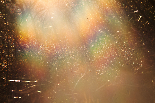 포토 JPG 해외이미지 계절 꽃 유럽 여행 곤충 백그라운드 낙엽 잎 오렌지 자연 요정 독일 이야기 사람없음 빨간색 빛 태양 귀여움 환경 검은색 일몰 꿈 하이킹 광선 가을 황금 저녁 숲 신비 그림 마법 내추럴 뿌연 많음 해외202004 해외포토 자연요소 식물 동물 나라 컬러 컨셉 과일 레저 노을 야간 생태계 파일형식 이미지허브