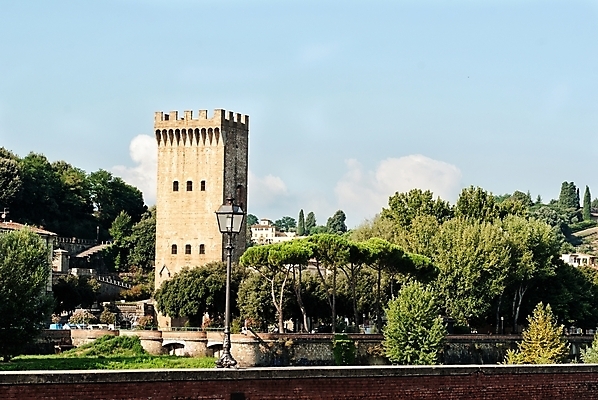 포토 JPG 해외이미지 나무 문화 도로 밭 농업 자연 주택 풍경 사람없음 초록색 여름 농가 농장 일출 탑 이탈리아 새벽 시골 역사 언덕 토스카나 해외202004 해외포토 자연요소 식물 건축물 계절 유럽 산업 길 컬러 교통시설 건물 노을 생태계 파일형식 이미지허브