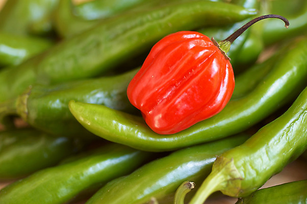 포토 JPG 해외이미지 음식 사람없음 빨간색 초록색 뜨거움 양념 조미료 매움 후추 성분 해외202004 해외포토 컬러 맛 향신료 향미료 파일형식 이미지허브