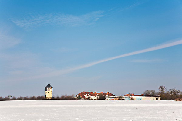 포토 JPG 해외이미지 겨울 밭 농업 자연 하늘 주택 파노라마 협상 옥수수 풍경 사람없음 파란색 빛 태양 냉동 화목 추위 흰색 플랫 식민지 수평선 해외202004 해외포토 자연요소 계절 산업 컬러 컨셉 비즈니스 곡류 촬영기법 건물 생태계 파일형식 이미지허브