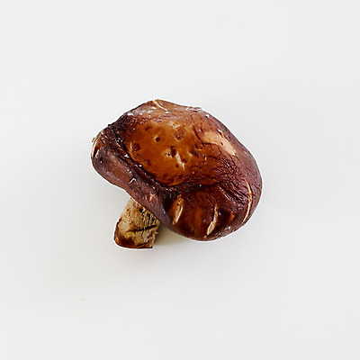 포토 JPG 해외이미지 식물 계절 음식 백그라운드 과일 자연 사람없음 버섯 가을 흰색 신선 그룹 묘사 오브젝트 유기농 날것 성분 고립 식용 해외202004 해외포토 웰빙 컬러 생태계 파일형식 이미지허브