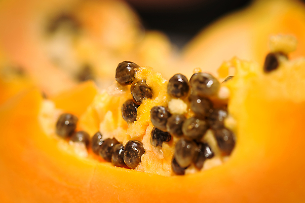 포토 JPG 해외이미지 아시아 음식 조각 백그라운드 다이어트 오렌지 과일 부분 디저트 건강 씨앗 사람없음 컬러풀 노란색 신선 달콤 맛 자르기 오브젝트 열대과일 날것 슬라이스 향기 숙성 이국적 채식주의자 파파야 해외202004 해외포토 식물 나라 컬러 컨셉 모션 채식 냄새 파일형식 이미지허브