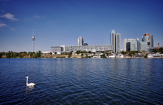 포토 JPG 해외이미지 호수 파도 백그라운드 자연 조류 하늘 추상 풍경 사람없음 건물 물 빛 강 도시풍경 햇빛 새벽 가을 도시 비엔나 야간 백조 스카이라인 다뉴브강 수평선 해외202004 해외포토 자연요소 동물 건축물 계절 바다 무늬 태양 오스트리아 생태계 파일형식 이미지허브