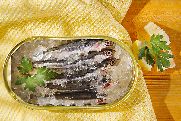 포토 JPG 해외이미지 식재료 실내 사람없음 얼음 신선 레몬 통조림 멸치 앤초비 나무배경 해외202004 해외포토 자연요소 백그라운드 과일 어류 내부 파일형식 이미지허브