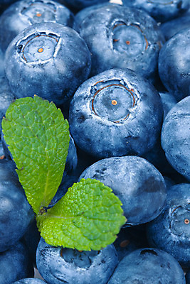 포토 JPG 해외이미지 열매 음식 과일 자연 사람없음 파란색 흰색 신선 달콤 오브젝트 블루베리 내추럴 고립 숙성 월귤 해외202004 해외포토 식물 컬러 맛 생태계 파일형식 이미지허브