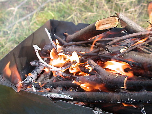 포토 JPG 해외이미지 음식 자연 불꽃 휴식 사람없음 목재 소풍 식사 산책 그릴 모닥불 준비 케밥 생태학 석탄 재 해외202004 해외포토 나무 교육 컨셉 재료 주방용품 불 야외활동 생태계 파일형식 이미지허브