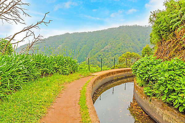 포토 JPG 해외이미지 나무 유럽 길 여행 잎 자국 자연 산 이끼 풍경 사람없음 야외 초록색 물 여행객 걷기 와인 계곡 산책 트래킹 하이킹 습기 촉촉함 흐름 만 개울 숲 수분 오솔길 포르투갈 운하 월계수 유칼립투스 해외202004 해외포토 자연요소 식물 나라 컬러 컨셉 모션 레저 휴식 주류 사람 강 젖음 생태계 파일형식 이미지허브