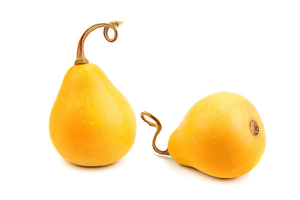 포토 JPG 해외이미지 식물 1 계절 음식 줄기 백그라운드 잎 농업 채소 오렌지 과일 재료 자연 호박 휴가 건강 사람없음 장식 농작물 컬러풀 농장 노란색 정원 미니어처 할로윈 수확 가을 흰색 시골 신선 작음 심볼 오브젝트 싱글 유기농 날것 박 추수감사절 스쿼시 10월 내추럴 고립 숙성 채식주의자 해외202004 해외포토 웰빙 산업 기독교 스포츠 컬러 구기 모형 날짜 크기 생태계 채식 파일형식 이미지허브