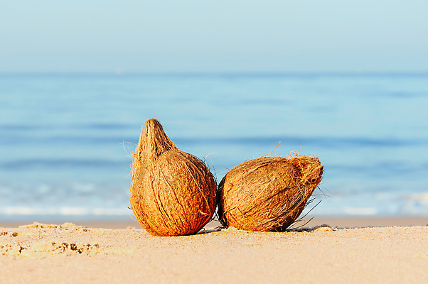 포토 JPG 해외이미지 아시아 음식 모래 파도 바다 섬 여행 백그라운드 과일 자연 하늘 휴가 건강 풍경 사람없음 야외 물 여름 파란색 햇빛 태양 맑음 침묵 견과류 신선 만 뜨거움 오브젝트 상쾌 휴양지 코코넛 석호 이국적 파라다이스 해외202004 해외포토 자연요소 계절 감정 나라 컬러 날씨 소리 장소 생태계 파일형식 이미지허브