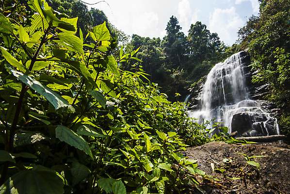 포토 JPG 해외이미지 나무 식물 공원 여행 백그라운드 잎 모션 태국 자연 산 풍경 사람없음 야외 목재 초록색 물 여름 파란색 강 햇빛 환경 봄 활발 폭포 젖음 흐름 가을 바위 신선 개울 떨어짐 숲 순수 내추럴 이국적 해외202004 해외포토 자연요소 계절 공공시설 아시아 컬러 컨셉 재료 태양 돌_바위 생태계 파일형식 이미지허브
