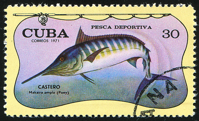 포토 JPG 해외이미지 동물 야생동물 바다 자연 봉투 동물원 어류 사람없음 그래픽 수중 수확 골동품 메시지 역사 물개 편지 복고 엽서 쿠바 우표 동물상 옛날 해외202004 해외포토 농업 포유류 조형물 바다동물 수중동물 중앙아메리카 생태계 파일형식 이미지허브