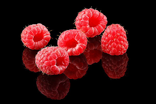 포토 JPG 해외이미지 열매 음료 음식 백그라운드 과일 재료 부분 자연 유리 표면 디저트 건강 사람없음 빨간색 물 반사 검은색 거품 젖음 머그컵 물방울 신선 원형 투명 액체 달콤 매끈함 먹기 순수 유기농 날것 윤곽 산딸기 슛 고립 숙성 채식주의자 해외202004 해외포토 자연요소 도형 식물 웰빙 컬러 컨셉 모션 재질 컵 감각 맛 생태계 채식 파일형식 이미지허브