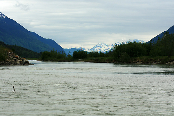 포토 JPG 해외이미지 공원 자국 풍경 사람없음 물 강 미국 신선 개울 역사 재산 황금 보호 발굴 지역 북쪽 알래스카 민물 서쪽 선로 전국 해외202004 해외포토 자연요소 공공시설 컨셉 북아메리카 금융 방향 파일형식 이미지허브