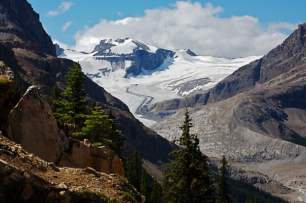 포토 JPG 해외이미지 나무 캐나다 산 사람없음 얼음 숲 빙하 암초 밴프 빙원 앨버타 로키산맥 해외202004 해외포토 자연요소 식물 북아메리카 파일형식 이미지허브