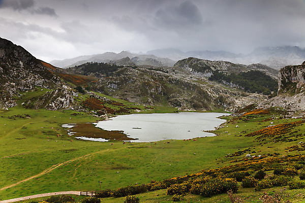 포토 JPG 해외이미지 나무 구름 공원 유럽 호수 여행 백그라운드 자연 하늘 휴가 산 파노라마 풍경 사람없음 야외 초록색 물 반사 평화 환경 침묵 스페인 숲 언덕 장면 석호 내추럴 절정 해외202004 해외포토 자연요소 식물 공공시설 나라 컬러 컨셉 촬영기법 소리 생태계 파일형식 이미지허브