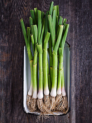 포토 JPG 해외이미지 음식 다이어트 채소 건강 사람없음 세로 시골 날것 부추 섬유 생식 채식주의자 해외202004 해외포토 직물 채식 파일형식 이미지허브