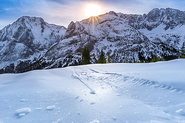포토 JPG 해외이미지 나무 행복 유럽 조각 백그라운드 크리스마스 날씨 휴가 새해 산 사람없음 야외 파란색 관광지 컬러풀 햇빛 맑음 냉동 얼음 추위 자유 흰색 소나무 오스트리아 숲 12월 서리 알프스 상록수 전나무 절정 겨울풍경 해외202004 해외포토 자연요소 식물 기념일 감정 나라 컬러 여행 컨셉 겨울 풍경 태양 날짜 파일형식 이미지허브